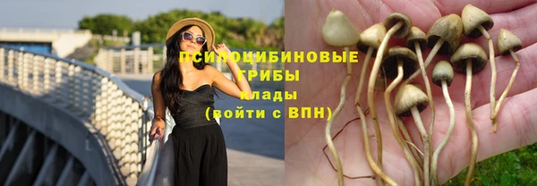 тгк Володарск