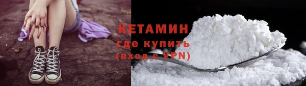прущие грибы Волоколамск