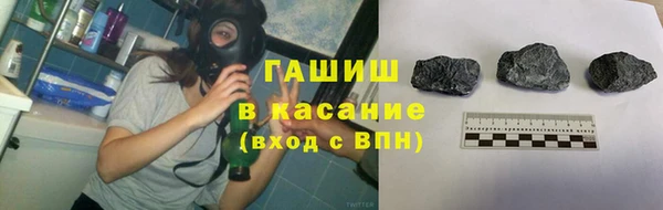 прущие грибы Волоколамск