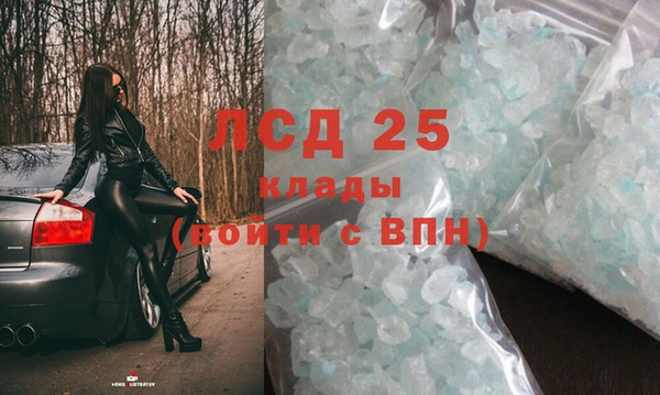 прущие грибы Волоколамск