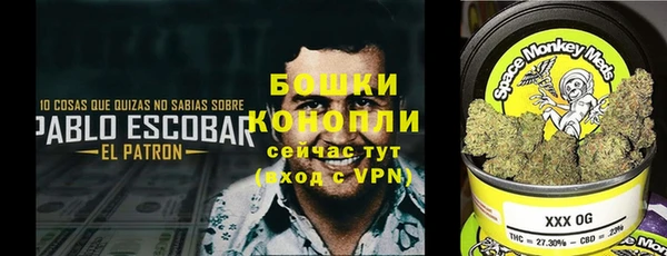 прущие грибы Волоколамск