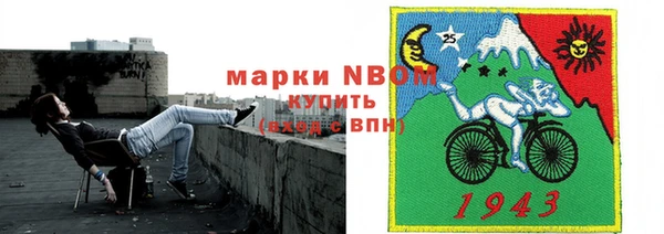 тгк Володарск