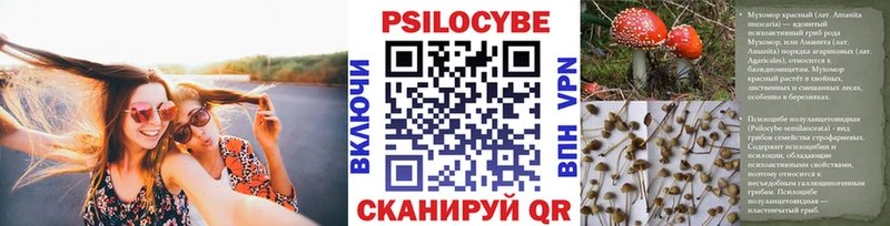 Купить  Стрежевой  Псилоцибиновые грибы Magic Shrooms 